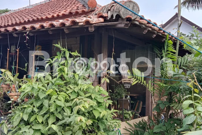 Rumah Minimalis 4 KT LT 480m2 di Pakuan Rumah Minimalis 4 KT LT 480m2 di Pakuan