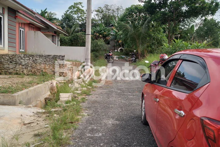 Jual Rumah Murah Meriah Balikpapan Utara Punya 2 KT & LT 96m2 Jual Rumah Murah Meriah Balikpapan Utara Punya 2 KT & LT 96m2