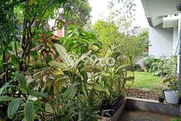 Rumah Minimalis 5 KT LT 144m2 di Bintaro Rumah Minimalis 5 KT LT 144m2 di Bintaro