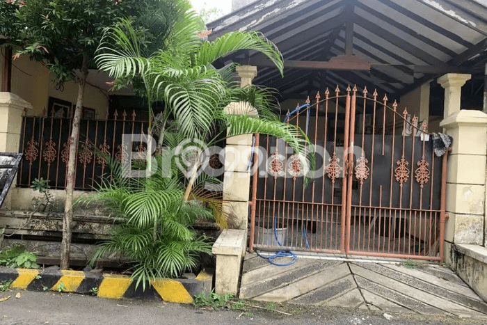 Rumah Luas Asri 4 KT Siap Pakai di Semolowaru Surabaya Rumah Luas Asri 4 KT Siap Pakai di Semolowaru Surabaya