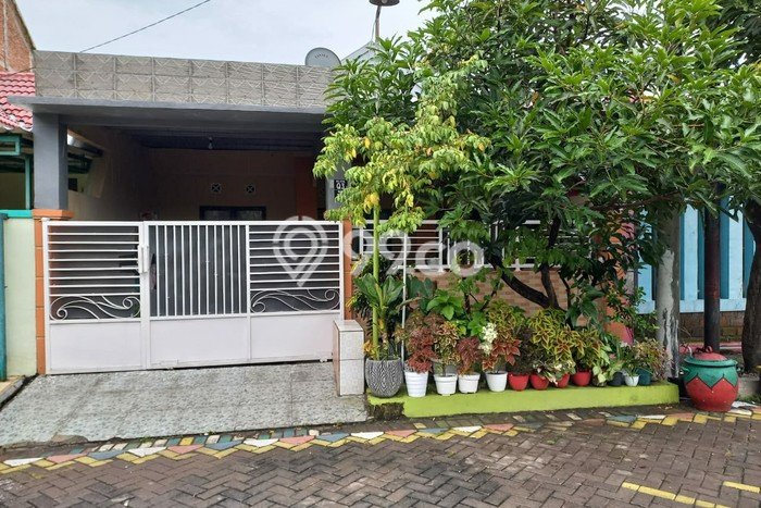 Dijual Rumah Strategis Bagus Punya 3 KT di Sidoarjo Sidoarjo - Dijual Rumah Strategis Bagus Punya 3 KT di Sidoarjo Sidoarjo -