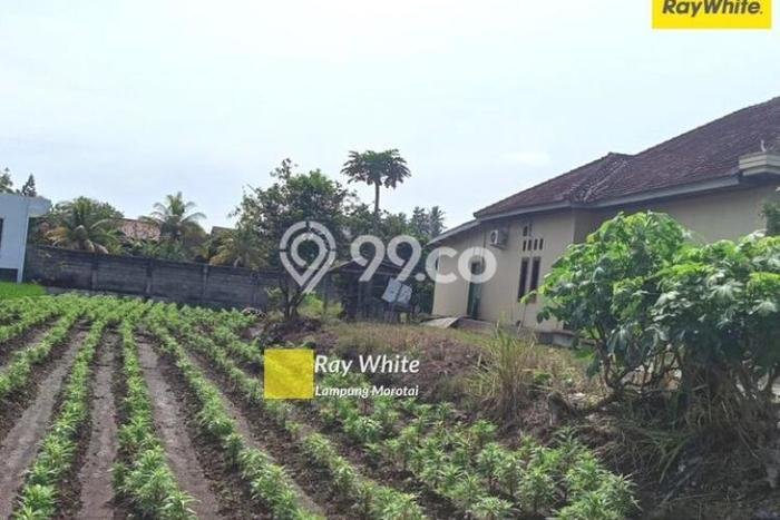 Jual Rumah Strategis Bagus Punya 4 KT di Kemiling Bandar Lampung SHM Jual Rumah Strategis Bagus Punya 4 KT di Kemiling Bandar Lampung SHM