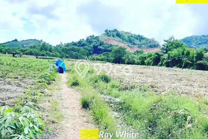 Best Deal Hunian Mewah Ideal dan Luas di Sukabumi, Bandar Lampung Best Deal Hunian Mewah Ideal dan Luas di Sukabumi, Bandar Lampung