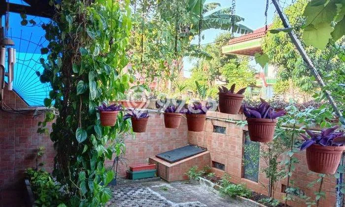 Siap Huni Rumah Mewah 3 Kamar di Cakung Dekat ke Mana Saja Siap Huni Rumah Mewah 3 Kamar di Cakung Dekat ke Mana Saja