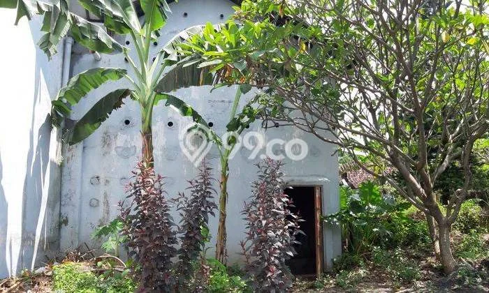 Dijual Rumah Premium dengan Fasilitas Sekitar Komplit di Godong, Grobogan Dijual Rumah Premium dengan Fasilitas Sekitar Komplit di Godong, Grobogan