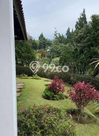 UNIT TERBATAS! Rumah di Cipanas, 10 KM, Luas 3500m² LB 2200m² UNIT TERBATAS! Rumah di Cipanas, 10 KM, Luas 3500m² LB 2200m²