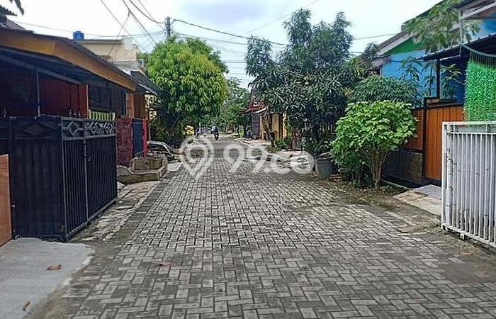 Jual Rumah Harga Miring Curug Punya 2 KT & LT 60m2 Jual Rumah Harga Miring Curug Punya 2 KT & LT 60m2