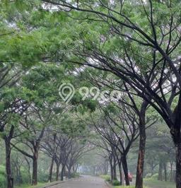 Jual Rumah Favorit Siap Huni LB 45m2 di Parung Panjang, Bogor Jual Rumah Favorit Siap Huni LB 45m2 di Parung Panjang, Bogor