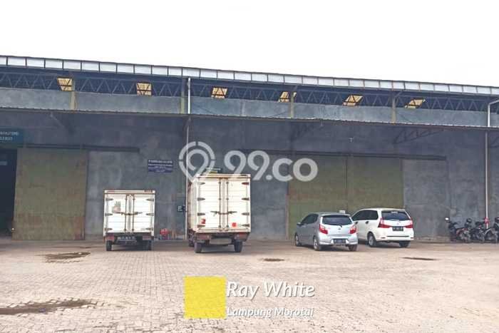 Hunian Terjangkau Dijual Area Way Halim, Bandar Lampung Harga Rp 500 Juta Hunian Terjangkau Dijual Area Way Halim, Bandar Lampung Harga Rp 500 Juta