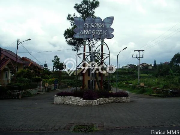 Rumah Budget Favorit Dijual di Cipanas LT 102m2 Rumah Budget Favorit Dijual di Cipanas LT 102m2