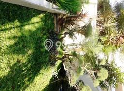 Disewakan segera hunian minimalis lokasi strategis 5 Kamar di Sleman, Sleman Disewakan segera hunian minimalis lokasi strategis 5 Kamar di Sleman, Sleman