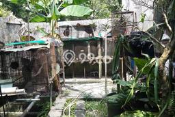 Dijual Rumah Luas Megah Dengan View Cantik di Bondongan, Bogor Dijual Rumah Luas Megah Dengan View Cantik di Bondongan, Bogor