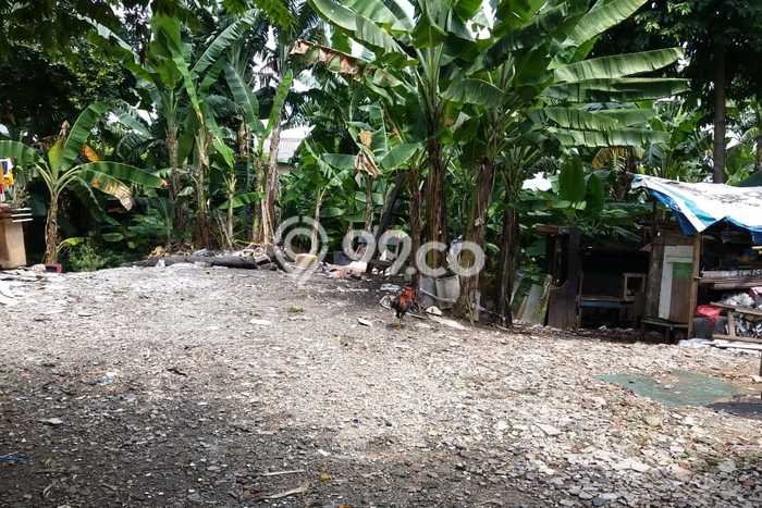 Dijual Rumah Murah di Pondok Aren Tangerang Selatan Harga Rp 8 Juta LT 2200m2 Dijual Rumah Murah di Pondok Aren Tangerang Selatan Harga Rp 8 Juta LT 2200m2