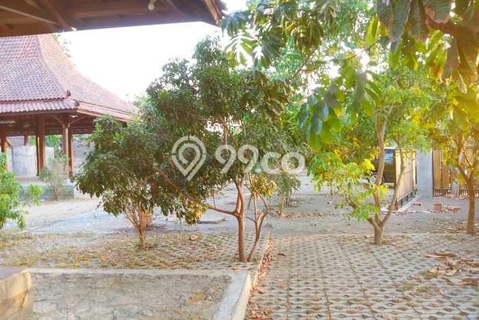 Rumah 5 KT 5 KM di Area Sewon, Bantul Rumah 5 KT 5 KM di Area Sewon, Bantul