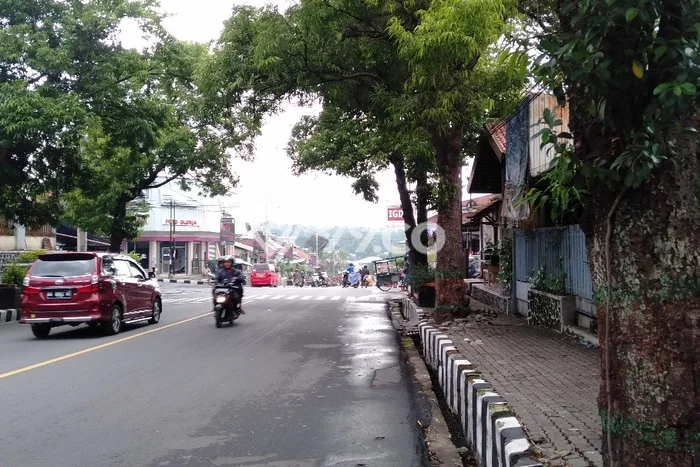 Rumah lokasi Tembarak, Temanggung, LT 426m2m² LB 400m2m² Rumah lokasi Tembarak, Temanggung, LT 426m2m² LB 400m2m²
