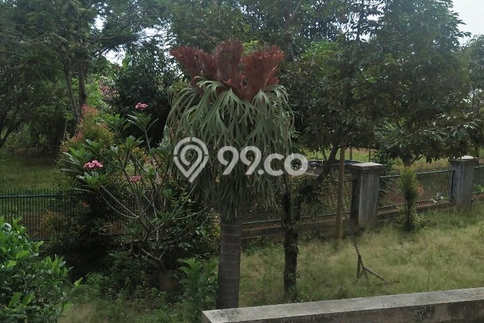 Rumah Area Nyaman kawasan Taktakan, Serang, Luas 3500m² Bangunan 500m² Rumah Area Nyaman kawasan Taktakan, Serang, Luas 3500m² Bangunan 500m²