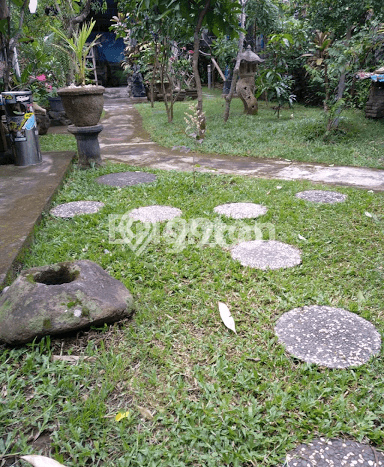 Rumah Nyaman 1 KT LB 50m2 Kondisi Bagus di Kesiman Rumah Nyaman 1 KT LB 50m2 Kondisi Bagus di Kesiman
