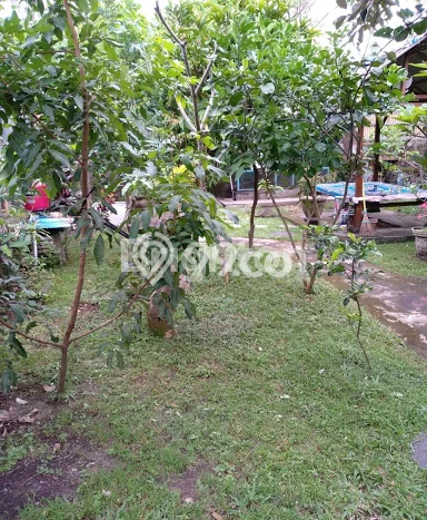 Rumah Nyaman 1 KT LB 50m2 Kondisi Bagus di Kesiman Rumah Nyaman 1 KT LB 50m2 Kondisi Bagus di Kesiman