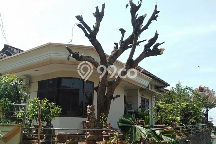 Rumah Elit LB 175m2 Siap Pakai Desain Elegan di Jangli, Semarang Rumah Elit LB 175m2 Siap Pakai Desain Elegan di Jangli, Semarang