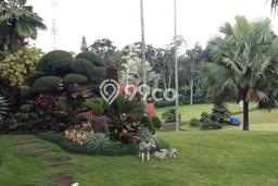 DIJUAL CEPAT! Rumah area Trawas, Mojokerto, Luas 11779m² LB 550m² BISA KPR! DIJUAL CEPAT! Rumah area Trawas, Mojokerto, Luas 11779m² LB 550m² BISA KPR!