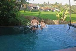Rumah Strategis Modern Lb 250m2 di Ubud, Gianyar Rumah Strategis Modern Lb 250m2 di Ubud, Gianyar