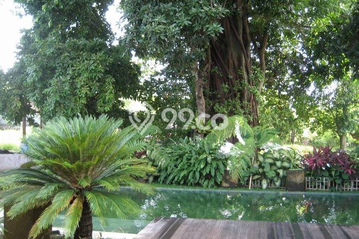Jual Rumah Luas Elegan Dengan View Cantik di Kerobokan Kelod, Badung Jual Rumah Luas Elegan Dengan View Cantik di Kerobokan Kelod, Badung