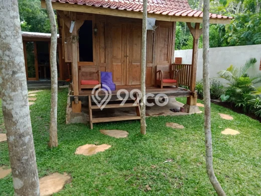 Rumah Kontrakan Badung LT 200m2 LB 100m2 Kawasan Pecatu Rumah Kontrakan Badung LT 200m2 LB 100m2 Kawasan Pecatu