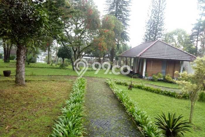 For Sale Rumah Elit Exclusive di Bumijawa, Tegal For Sale Rumah Elit Exclusive di Bumijawa, Tegal