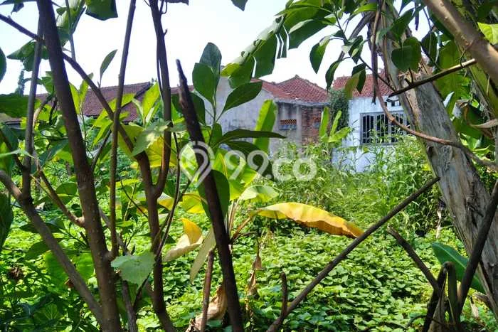 Rumah Modern Minimalis 2 Kamar Bisa Langsung Pindah di Citangkil Rumah Modern Minimalis 2 Kamar Bisa Langsung Pindah di Citangkil