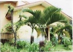 Rumah Nyaman area Cisarua, Bogor, Luas 2500m² LB 400m² Rumah Nyaman area Cisarua, Bogor, Luas 2500m² LB 400m²