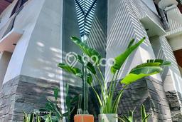 Rumah Elit Modern Siap Huni di Kedoya Baru Jakarta Barat Rumah Elit Modern Siap Huni di Kedoya Baru Jakarta Barat