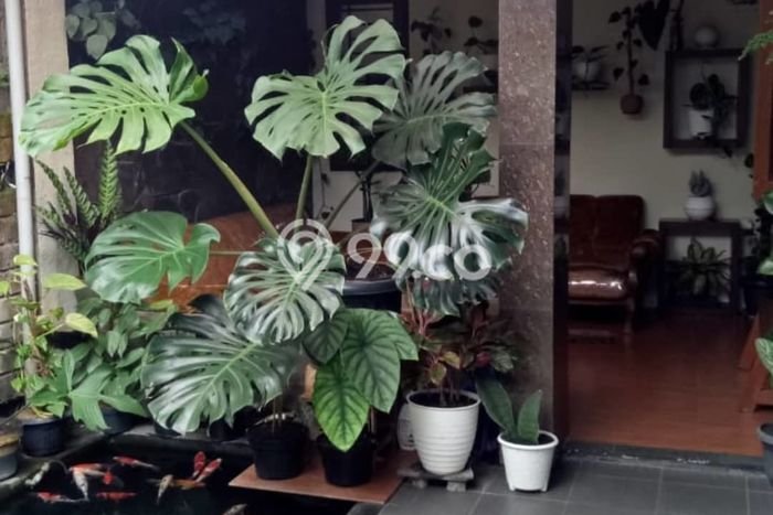 Rumah Minimalis 3 KT di Ciwastra Bandung Semi Furnished Rumah Minimalis 3 KT di Ciwastra Bandung Semi Furnished