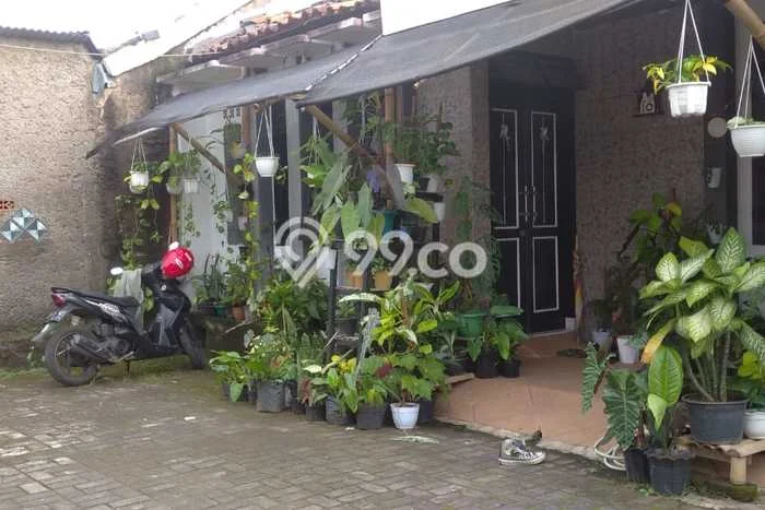 Dijual Rumah Siap Huni di Cianjur Cianjur Harga Rp 250 Juta LT 72m2 Dijual Rumah Siap Huni di Cianjur Cianjur Harga Rp 250 Juta LT 72m2