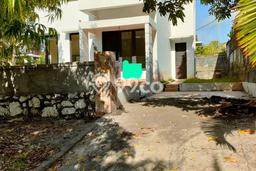 Rumah Luxury Modern Siap Huni di Pecatu Badung Rumah Luxury Modern Siap Huni di Pecatu Badung