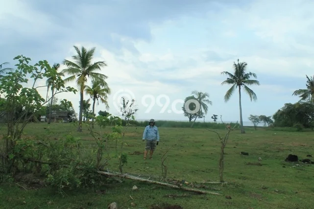 Kavling Tanah Dijual di Gerokgak Buleleng Spesifikasi 35000m2 Kavling Tanah Dijual di Gerokgak Buleleng Spesifikasi 35000m2