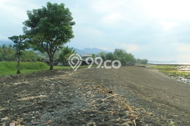 Kavling Tanah Dijual di Gerokgak Buleleng Spesifikasi 35000m2 Kavling Tanah Dijual di Gerokgak Buleleng Spesifikasi 35000m2