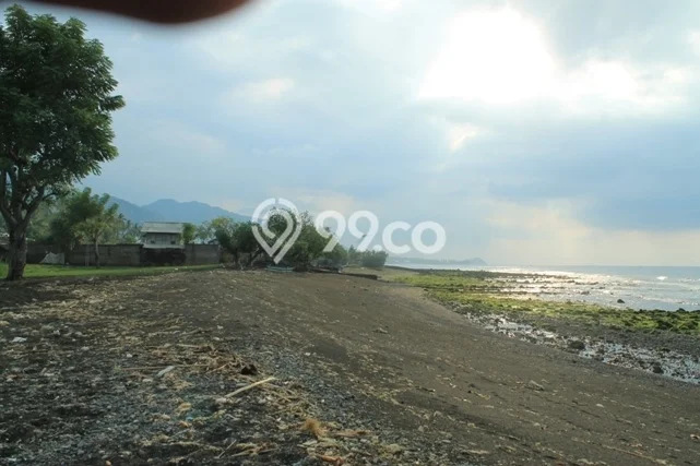 Kavling Tanah Dijual di Gerokgak Buleleng Spesifikasi 35000m2 Kavling Tanah Dijual di Gerokgak Buleleng Spesifikasi 35000m2