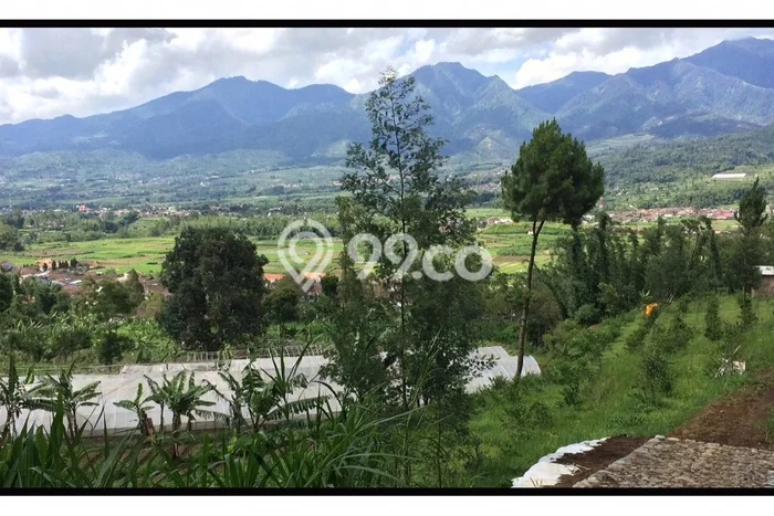 Dijual Tanah Kawasan Pujon, Luas 10425m², Area Potensial Dijual Tanah Kawasan Pujon, Luas 10425m², Area Potensial
