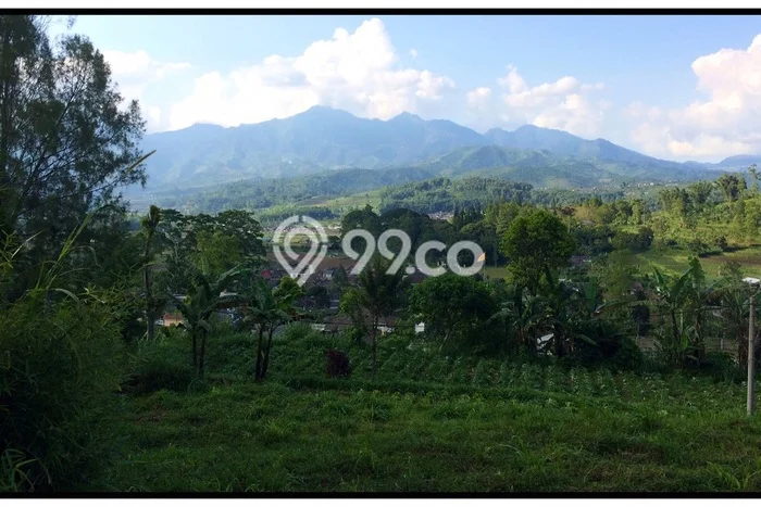 Dijual Tanah Kawasan Pujon, Luas 10425m², Area Potensial Dijual Tanah Kawasan Pujon, Luas 10425m², Area Potensial