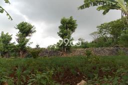 Tanah Kavling Dijual di Nusa Dua, Badung dengan Luas Tanah 5000m2 Tanah Kavling Dijual di Nusa Dua, Badung dengan Luas Tanah 5000m2