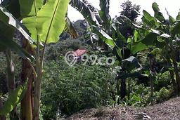 Tanah Dijual Area Strategis di Cipaku Bandung 600m2 Tanah Dijual Area Strategis di Cipaku Bandung 600m2