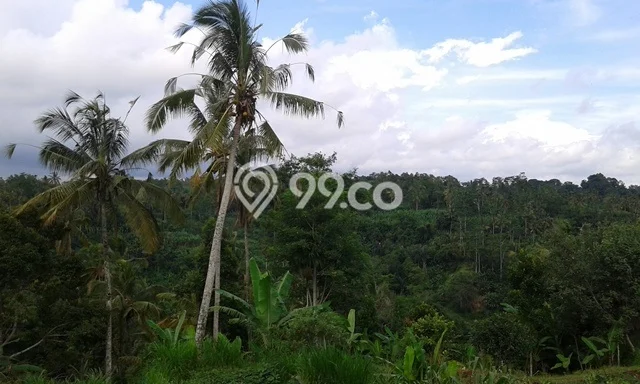 Lahan Kosong Dijual di Payangan, Gianyar, Luas 14300m2 Area Strategis Lahan Kosong Dijual di Payangan, Gianyar, Luas 14300m2 Area Strategis