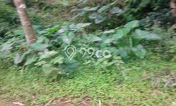 Tanah untuk Dijual di Payangan Gianyar Luas 58793m2 Tanah untuk Dijual di Payangan Gianyar Luas 58793m2