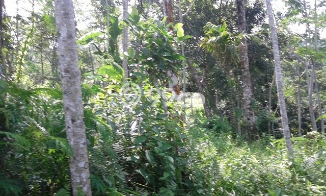 Tanah Kavling Dijual di Gianyar dengan Spesifikasi 76170m2 Tanah Kavling Dijual di Gianyar dengan Spesifikasi 76170m2