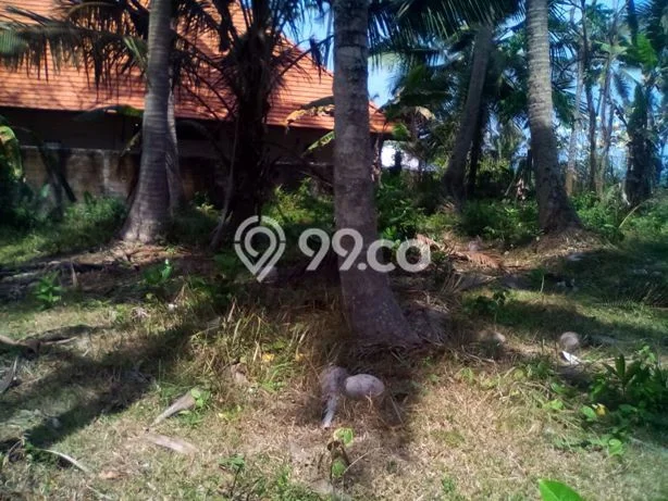 Tanah Siap Bangun Dijual di Tabanan Punya Luas 16000m2 Tanah Siap Bangun Dijual di Tabanan Punya Luas 16000m2