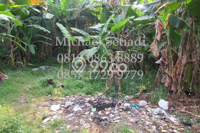 Kavling Tanah Dijual di Pamulang, Tangerang Selatan, Luas 4300m2 Area Strategis Kavling Tanah Dijual di Pamulang, Tangerang Selatan, Luas 4300m2 Area Strategis