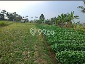 Dijual Tanah Lokasi Prima Kawasan Dramaga, Luas 5300m², Akses Dramaga, Bogor, Bogor Dijual Tanah Lokasi Prima Kawasan Dramaga, Luas 5300m², Akses Dramaga, Bogor, Bogor