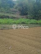 Tanah di Ciampea, Luas 1100m², Dekat Ciampea, Bogor, Bogor Tanah di Ciampea, Luas 1100m², Dekat Ciampea, Bogor, Bogor