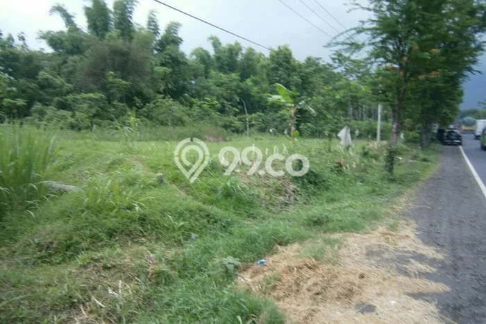Tanah Kavling untuk Dijual di Tegalsiwalan Probolinggo 1124m2 Tanah Kavling untuk Dijual di Tegalsiwalan Probolinggo 1124m2
