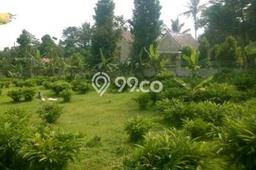Tanah Area Potensial Kawasan Ciawi, Luas 2510m², Kawasan Asri, Dekat Ciawi, Bogor, Bogor Tanah Area Potensial Kawasan Ciawi, Luas 2510m², Kawasan Asri, Dekat Ciawi, Bogor, Bogor